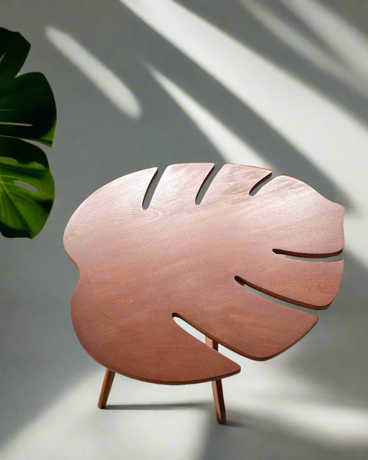 Kavos staliukas - Monstera