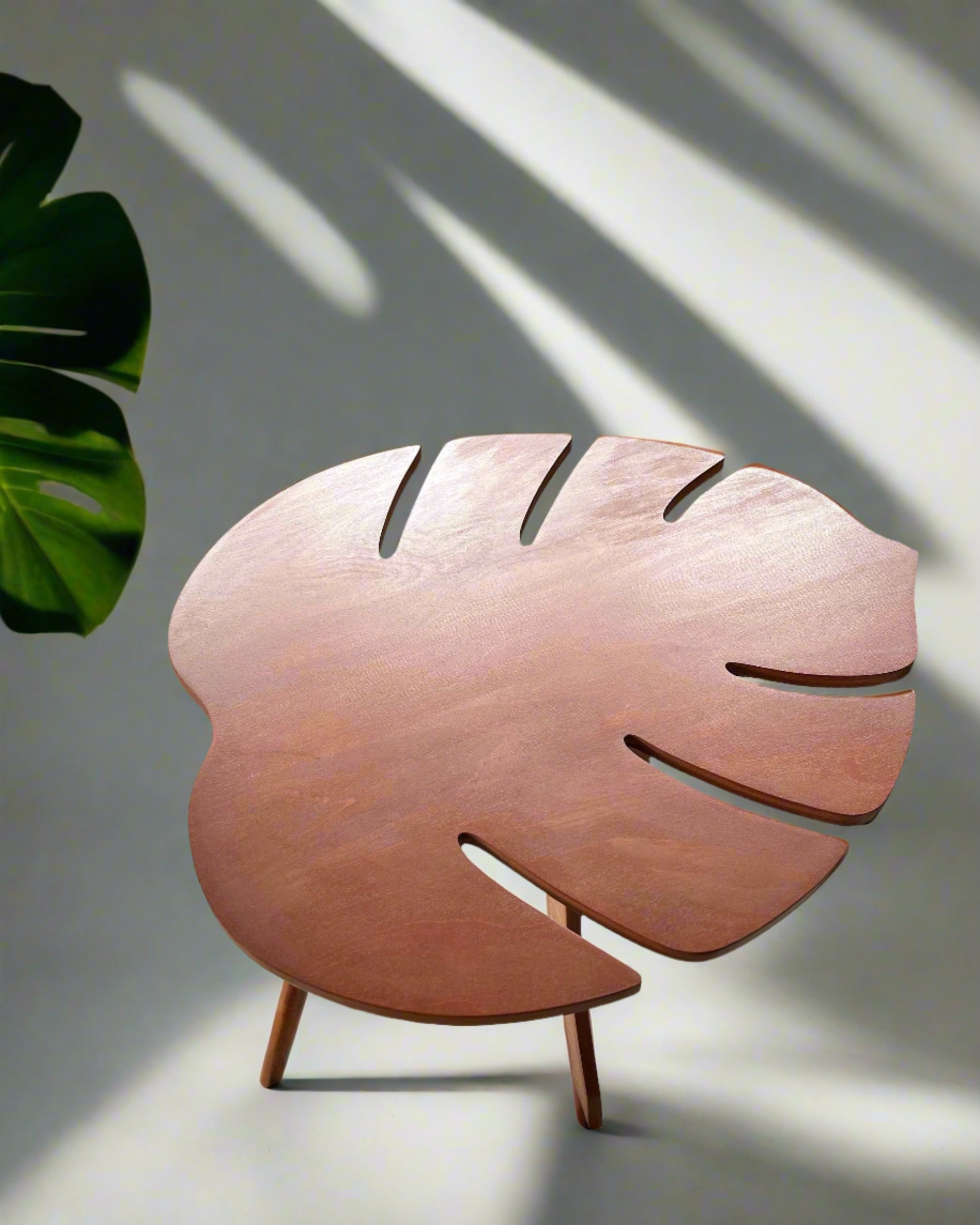 Kavos staliukas - Monstera